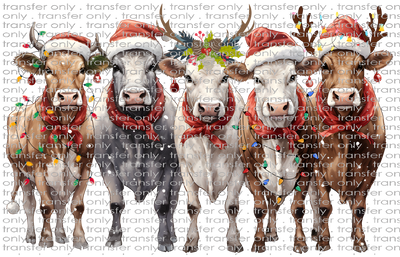 CHR 1076 Christmas Cows 2