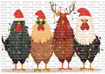 CHR 1077 Christmas Chickens 2