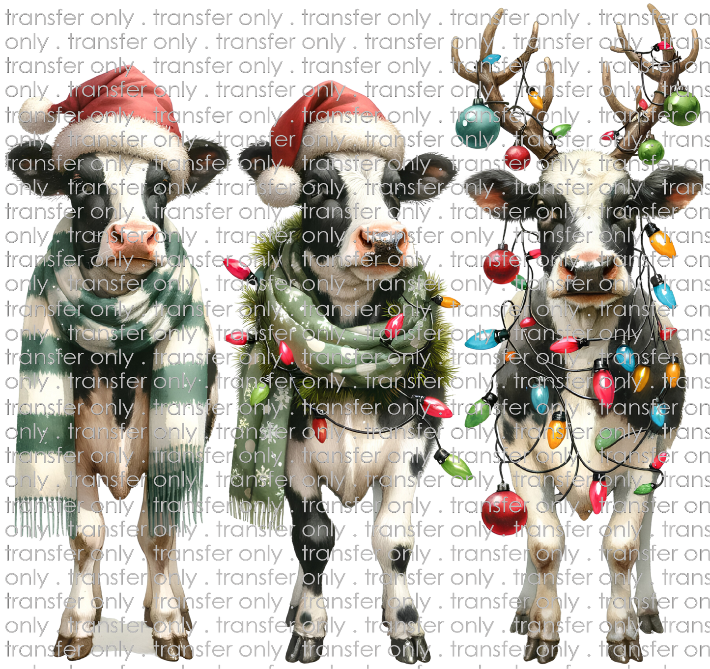 CHR 1078 Christmas Calves