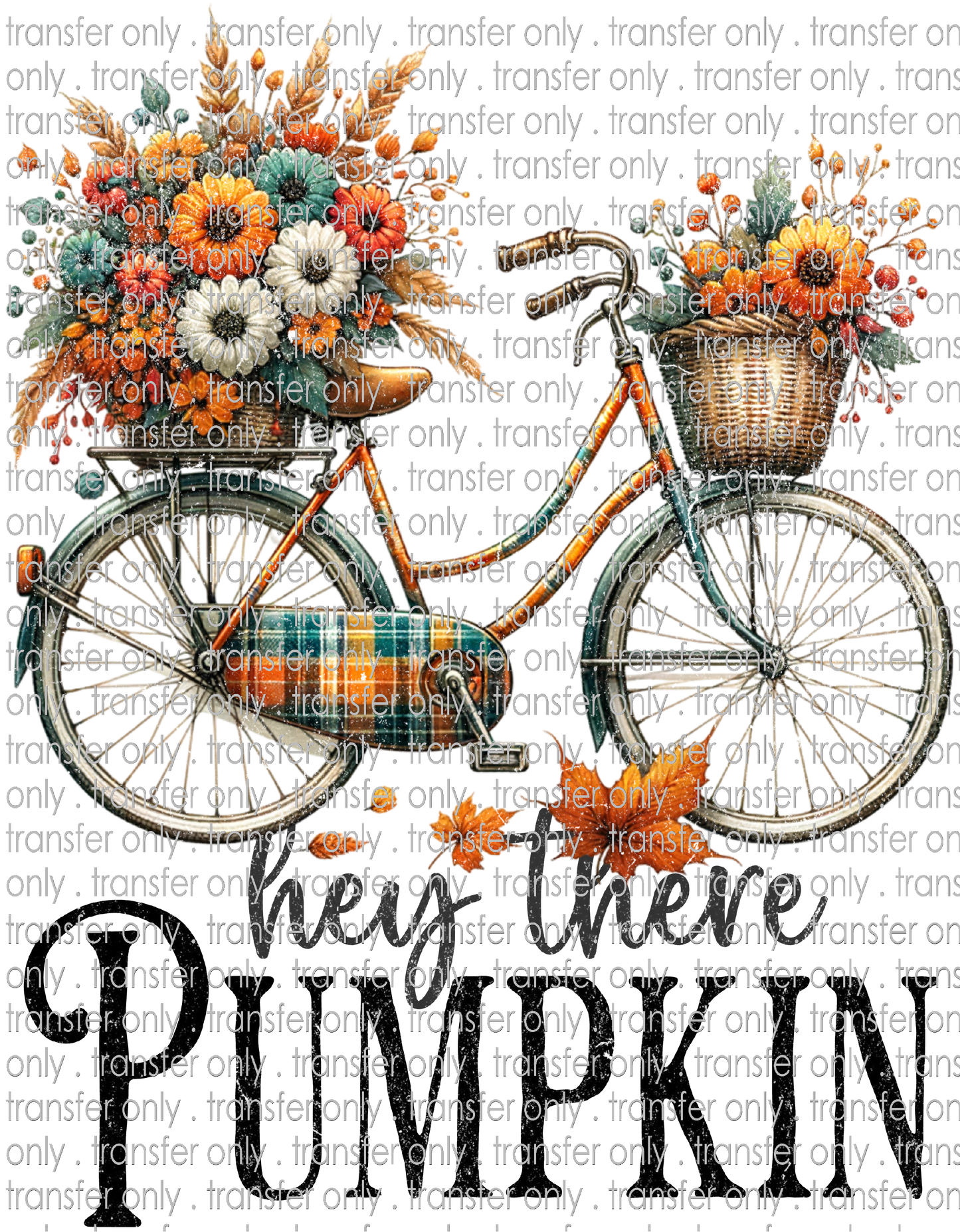 FALL 587 Bicycle with Baskets of Flowers