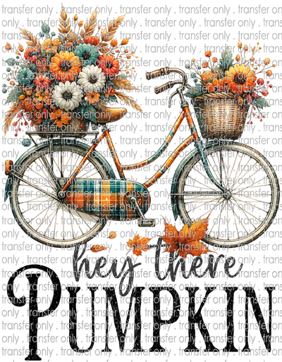 FALL 587 Bicycle with Baskets of Flowers