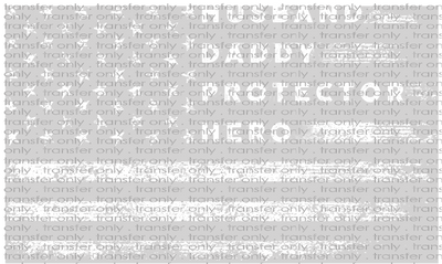 FAM 174 Husband Daddy Protector Hero Flag