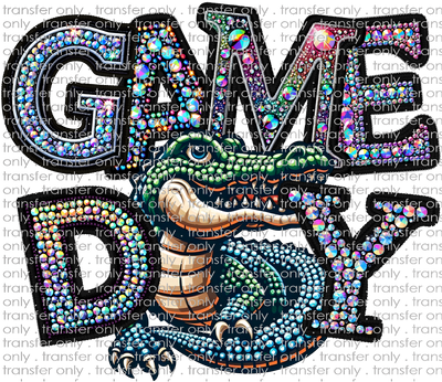 SCHMAS 478 Game Day Gators