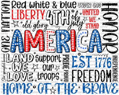 USA 215 America Doodle