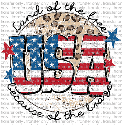 USA 253 Land of the Free USA Leopard