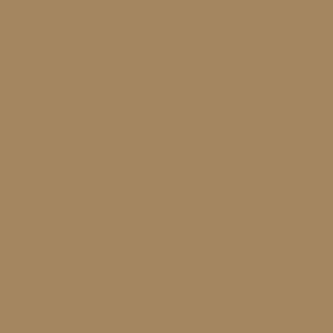 651 Glossy Decal Vinyl Light Brown