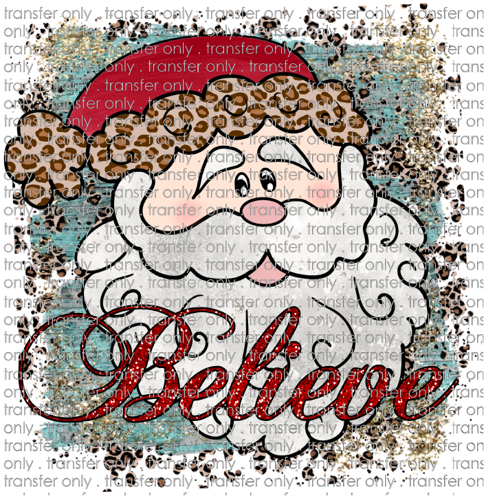 CHR 248 santa Believe