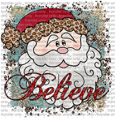 CHR 248 santa Believe