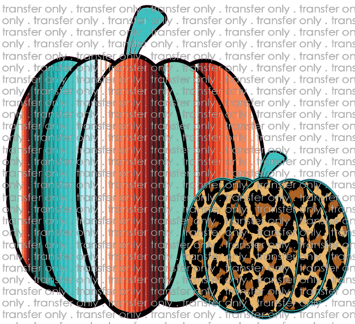 FALL 121 Serape and Leopard Pumpkin