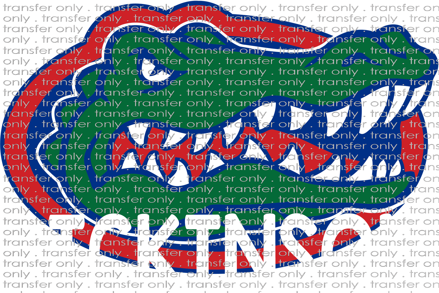 SCHMAS 147 Dickinson Gators White