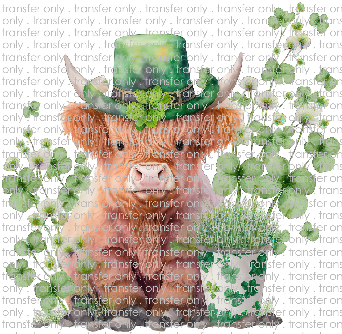 STP 113 Four Leaf Clover Highland Cow