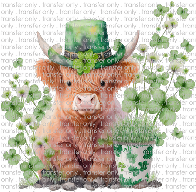 STP 113 Four Leaf Clover Highland Cow