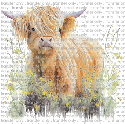 SW 129 Highland Cow