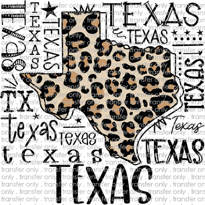 TX 107 Texas Typography