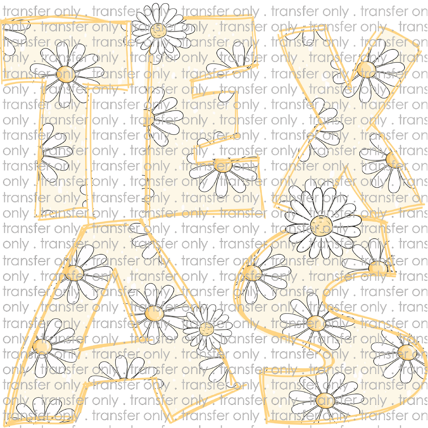 TX 121 Texas Daisies