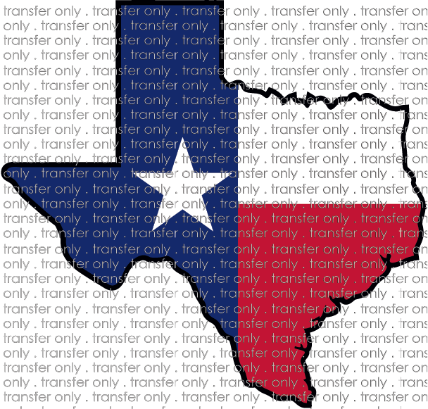 TX 24 Texas Flag Texas