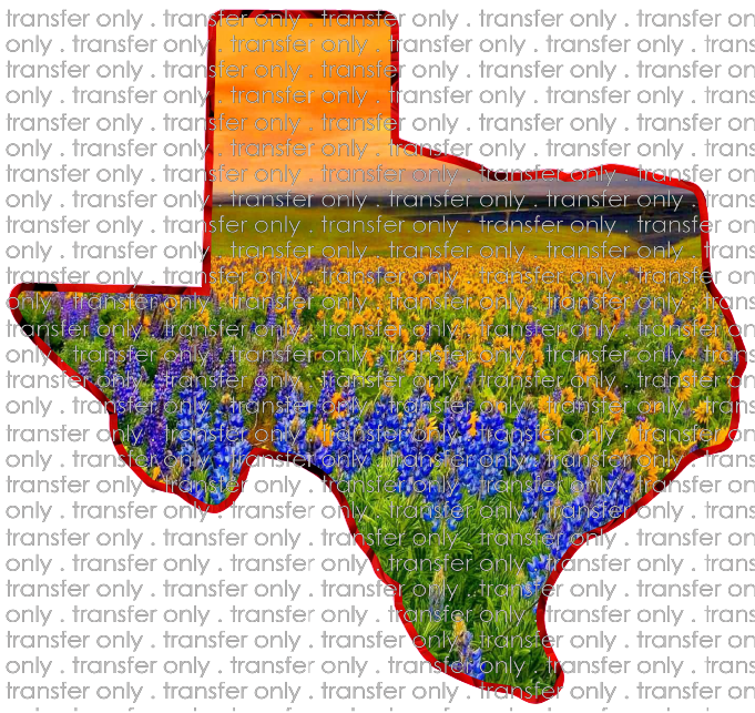 TX 41 Texas Blue Bonnet Sunset