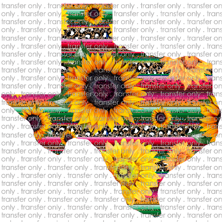 TX 52 Sunflower Texas Funky