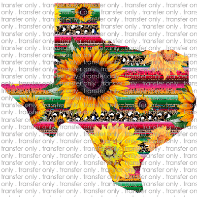 TX 52 Sunflower Texas Funky