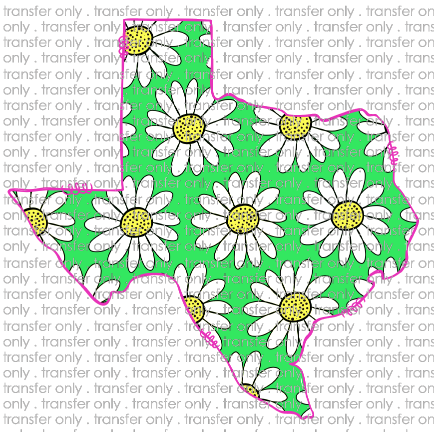 TX 83 Daises Texas